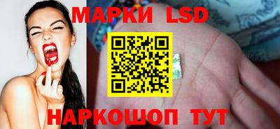 герыч Кингисепп