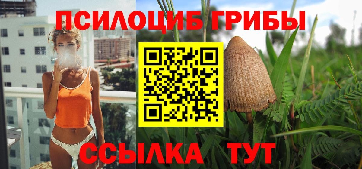 Галлюциногенные грибы GOLDEN TEACHER  Вход с VPN  Дюртюли  Псилоцибиновые грибы ЛСД 